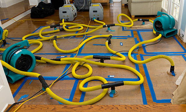 Professional Basement Flood Cleanup technician working in Piedmont, SD